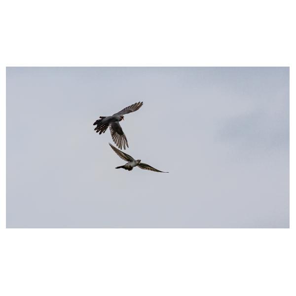 PHOTO84, CLUB, 84 , LUBERON